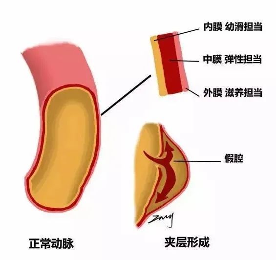 微信图【wēi xìn tú】片🍏_20220427090847.jpg